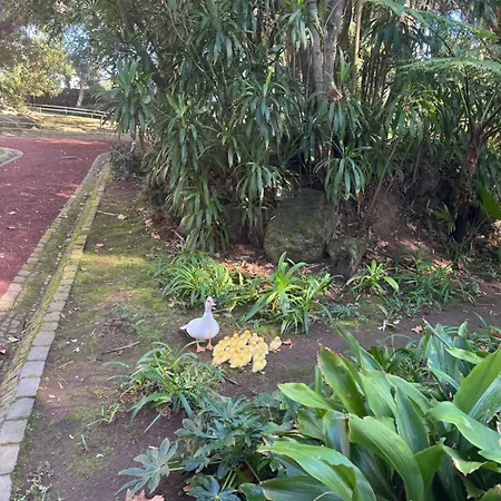 Garden Apartment