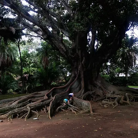 Garden Ponta Delgada (Sao Miguel)