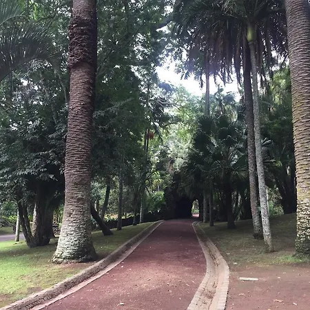 Garden Apartment Ponta Delgada (Sao Miguel)