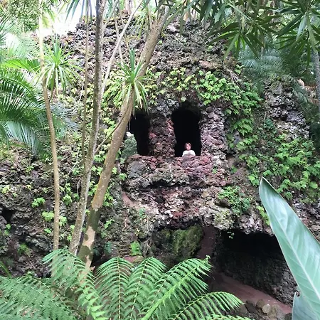 Apartment Garden *