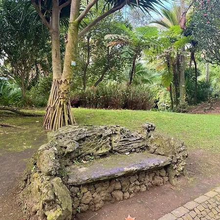 شقة Garden