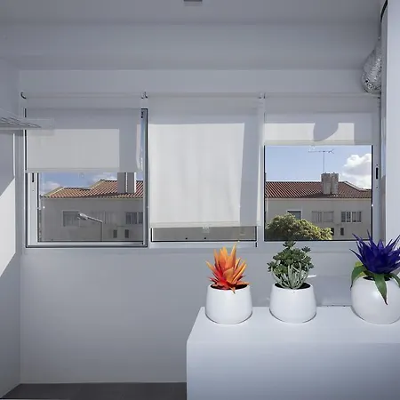 Garden Apartment, Great For Couple - Appartement